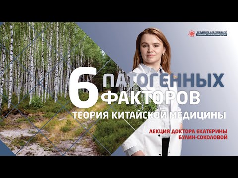 Видео: 6 патогенных факторов. Видео лекция из цикла "Теория иглотерапии". Читает Екатерина Булин-Соколова.