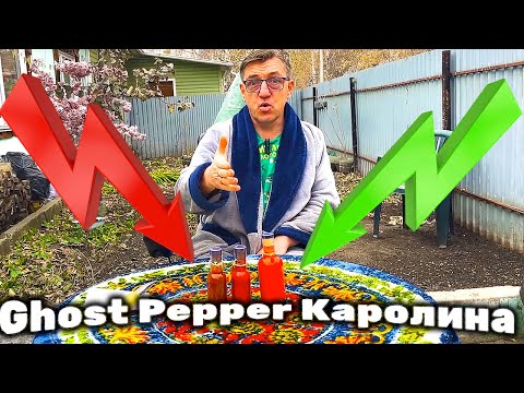 Видео: САМЫЕ ОСТРЫЕ домашние соусы |Каролина Рипер | перец Призрак |Хабанеро