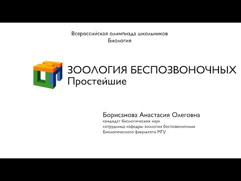 Видео: Биология.  Борисанова А. О.  Зоология беcпозвоночных.  Простейшие