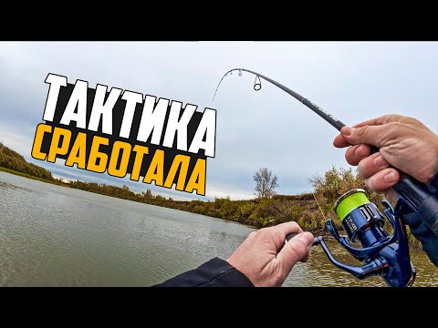 Видео: ИСКАЛ И НАШЕЛ! ЛОВЛЯ СУДАКА И ОКУНЯ НА СПИННИНГ В ОКТЯБРЕ 2025