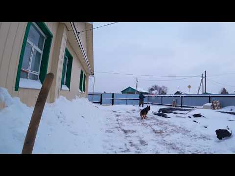 Видео: НАС ЗАВАЛИЛО СНЕГОМ. ЗАКАЗАЛИ ОКНО В ПРИСТРОЙ. Из города в деревню 753 серия