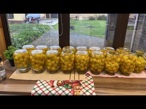 Видео: Компот из желтой сливы Домашнее вино Томатный сок на зиму и не только