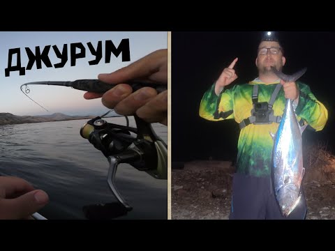 Видео: Джуруми и огромни риби! Екшън в Йонийско море.
