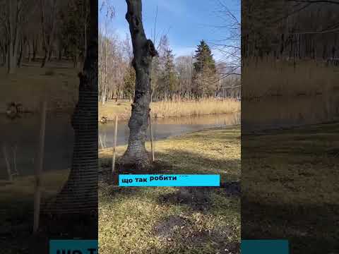 Видео: Добрий чоловік // Залишитися людиною
