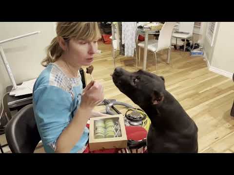 Видео: Как мы купили первый дом в Канаде