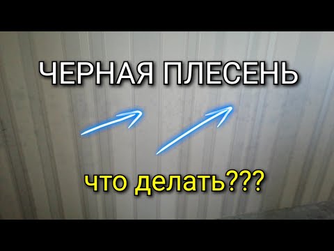 Видео: Черная плесень на ОБОЯХ. Что делать??? Можно ли ПОВТОРНО клеить обои? Есть ли альтернатива?