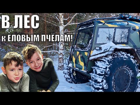 Видео: ПОХОД на ЭЛЕКТРОВЕЗДЕХОДЕ с ночевкой! За зимним медом в лес!