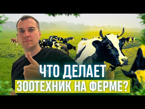 Видео: Что делает зоотехник на ферме?