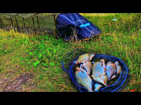 Видео: Фідерна РИБОЛОВЛЯ на ТРОФЕЙНОГО ЛЯЩА