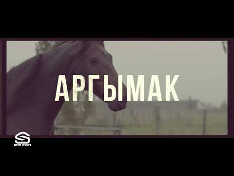 Видео: Аргымак 14-көрсөтүү Р.Жумагулов, К.Чубаков жана  М. Жумагулов  Карагер, Скиф аргымактары менен