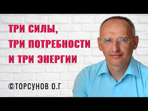 Видео: Три силы, три потребности и три энергии! Торсунов лекции
