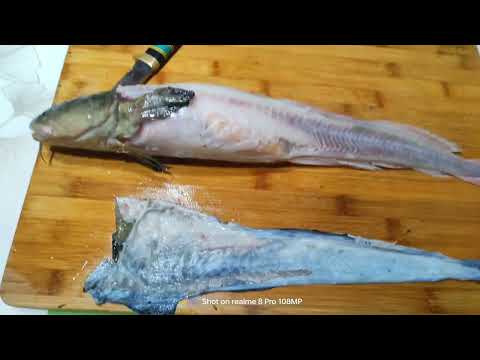 Видео: Гутаарь /Налим/ загасаар хуушуур хэрхэн хийх вэ?😉