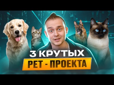 Видео: 3 крутых pet-проекта / Что интересно собеседующим