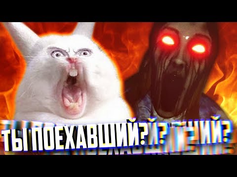 Видео: ПОЕХАВШАЯ ДИЧЬ