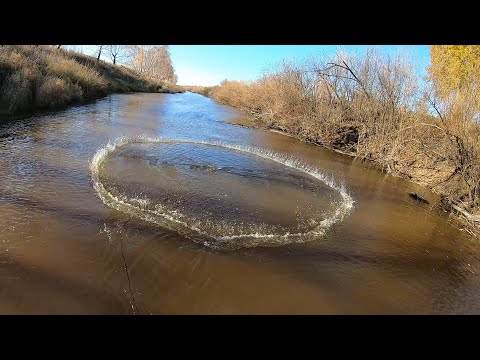 Видео: НОВАЯ СЕТЬ ПОРАДОВАЛА МЕНЯ ШИКАРНЫМИ ТРОФЕЯМИ. УДАЧНАЯ ОСЕННЯЯ РЫБАЛКА НА НАКИДКУ.САЗАН,ЯЗЬ,СУДАК!!!