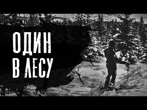 Видео: ПОТЕРЯННЫЙ СЛЕД - Страшные истории на ночь. Страшилки про зимний лес. Крипипаста