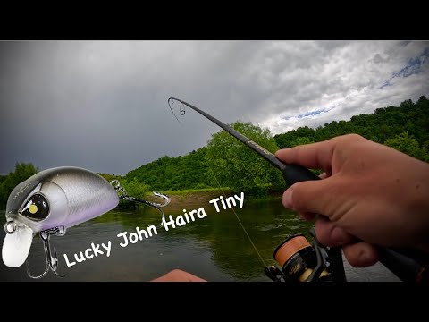 Видео: ГОЛОВЕНЬ НА Lucky John Haira Tiny Shallow Pilot 33F