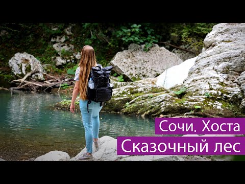 Видео: Сочи. Хоста. Тисо-самшитовая роща. Красивые каньоны недалеко от побережья