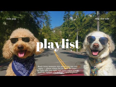 Видео: 🎧 Плейлист для смены настроения🌿 Эмоциональный хип-хоп концерт 💿 Groove playlist