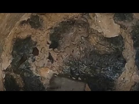 Видео: Старый, переполненный и гниющий жир