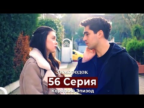 Видео: Зимородок 56 Cерия (Короткий Эпизод) (Русский дубляж)