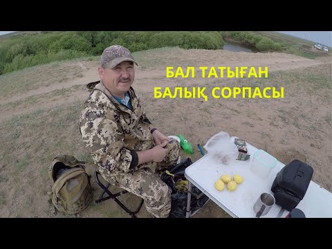 Видео: КӨКСЕРКЕ,МӨҢКЕ. ТАМАША ҚАБЫС.МАУСЫМ АШУ. 2023ж.3-БӨЛІМ.