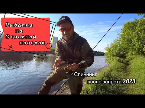 Видео: Рыбалка на отводной поводок| Окунь на спиннинг| Канал имени Москвы| Приманки ручной работы|