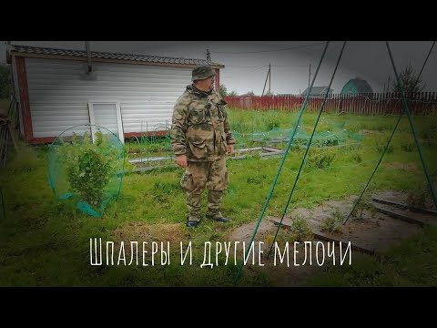 Видео: 29.06.2025 Шпалеры и другие мелочи.