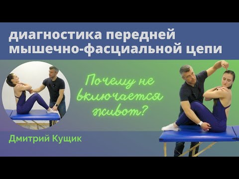 Видео: ДИАГНОСТИКА ПЕРЕДНЕЙ МФЦ | Почему не включается живот? | Кинезиолог Дмитрий Кущик