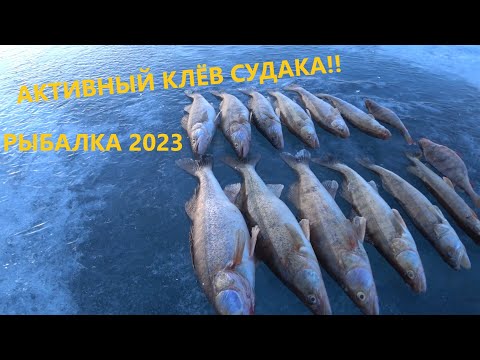 Видео: Рыбалка в Казахстане. ВЕСЕННИЙ ЖОР НАЧАЛСЯ! Рыбалка 2023