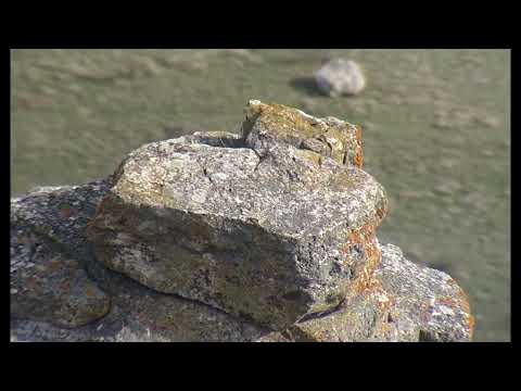 Видео: Крым, Коктебель вид на набережную, Звездопад воспоминаний.
