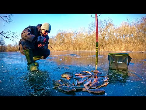 Видео: Нарешті лід! Дочекалися!!! Відразу ПОПАВ НА РИБУ!!!