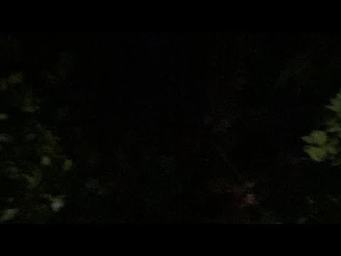 Видео: АЛЕКША НОВИЧ | ПУТЬ, ПРАГМАТИЧНАЯ ФИЛОСОФИЯ