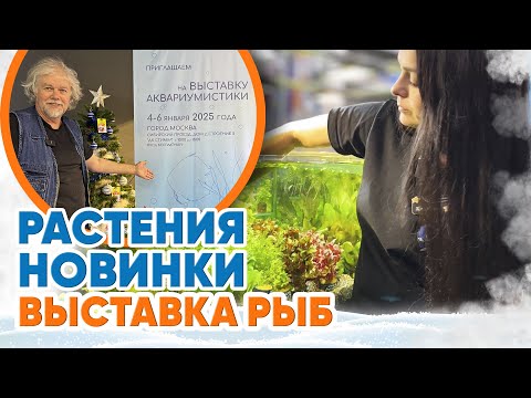 Видео: Аквариумные новости с Владимиром Ковалёвым (03.01.2025). Растения. Новинки. Выставка рыб!