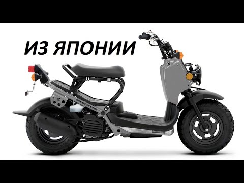 Видео: Как мы покупали Honda Zoomer из Японии!