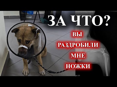 Видео: Ребенок с раздробленной судьбой
