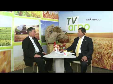 Видео: ТВ Агро: Томаты - сорта, посадка, выращивание и уход