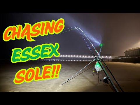 Видео: В поисках морского окуня и окуня | Walton On The Naze | Рыбалка на пляже в Великобритании