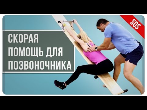 Видео: Профилактор Евминова Выравниваем позвоночник - Александр Мельниченко | 48