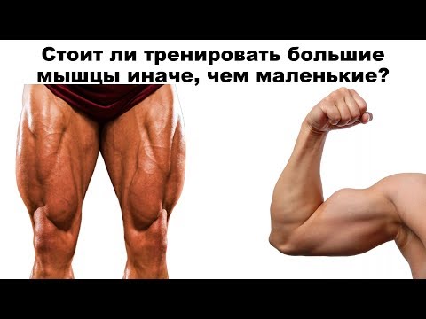 Видео: СТОИТ ЛИ ТРЕНИРОВАТЬ БОЛЬШИЕ МЫШЦЫ ИНАЧЕ, ЧЕМ МАЛЕНЬКИЕ?