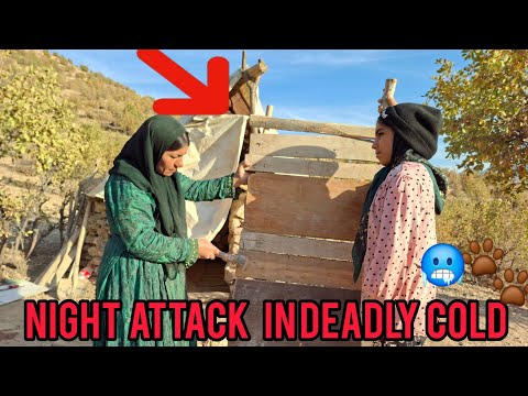 Видео: Одинокая мать построила дверь хижины, чтобы уберечься от животных и снежного холода.
