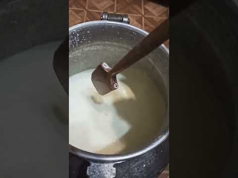 Видео: Брага из картофельного крахмала