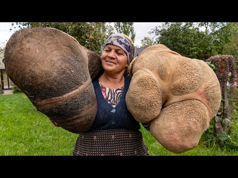 Видео: Королевское Блюдо из Не Дорогих Ингредиентов