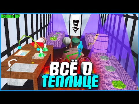 Видео: ВЫГОДНА ЛИ ТЕПЛИЦА? АФЕРА ВЕКА! | #701 | Родина RP (CRMP)