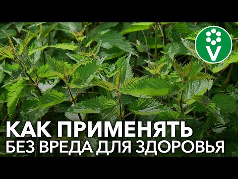 Видео: ЗЕЛЕНОЕ УДОБРЕНИЕ может быть ОПАСНО!