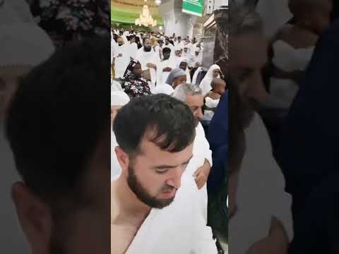 Видео: 29 ноября 2022 г.