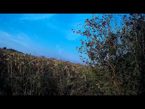 Видео: ЛОВ НА ГРИВЯК 6