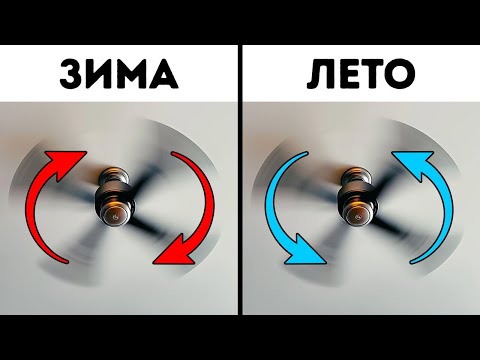 Видео: 60+ объектов, которыми вы пользуетесь, но одна маленькая деталь меняет всё