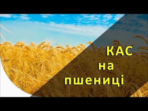 Видео: КАС на пшениці [GrowEx]