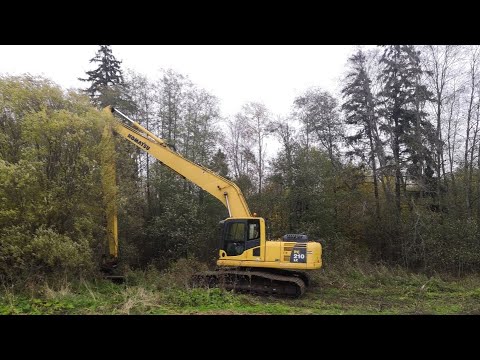 Видео: Разрушение плотин бобров Длинноруким экскаватором
